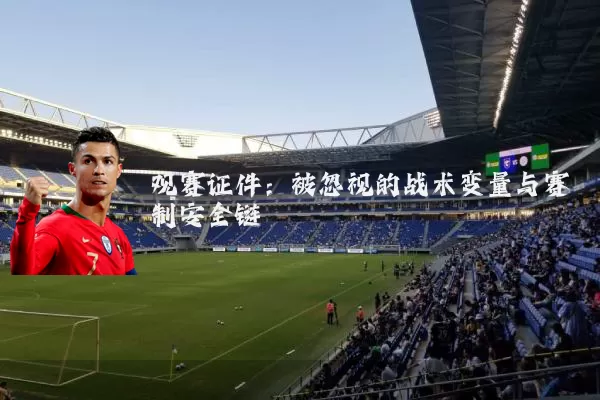 观赛证件:被忽视的战术变量与赛制安全链