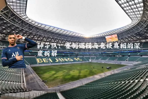 种子队:赛制逻辑与竞技真相的深度拆解